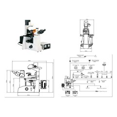 mf 500 - inverted & reflected fluorescence microscope