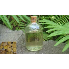 minyak temulawak/ curcuma oil