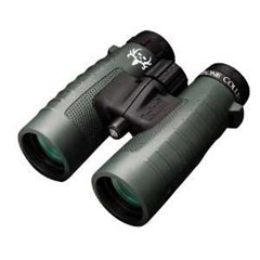 bushnell trophy xlt 10x42