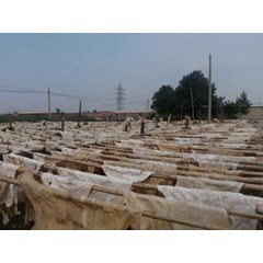 cowsplit kulit sapi asal cina