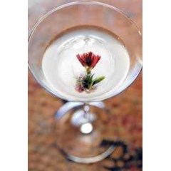 bali liquid solution supplyer