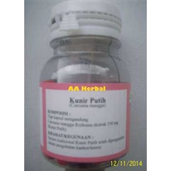 kunir putih curcuma mangga dr. eko wahyuni