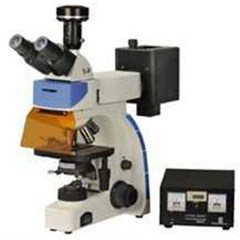 mf300 - fluorescence microscopes