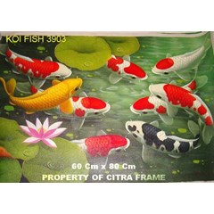 lukisan ikan koi - 8803