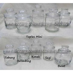 toples mini all models