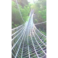 jembatan jaring laba - laba