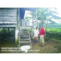 briket batubara telor & jengkol untuk pemanas doc ternak ayam