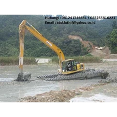 swamp beko