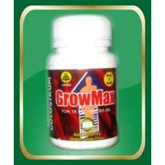 growmax nurusy syifa mampang prapatan