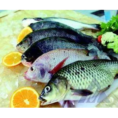 ikan segar
