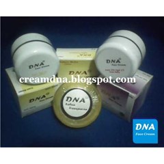 paket cream dna anti aging ( penuaan dini)