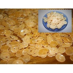 ls 020 - polo sari udang