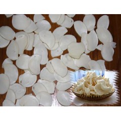 tg001 - bawang dacil