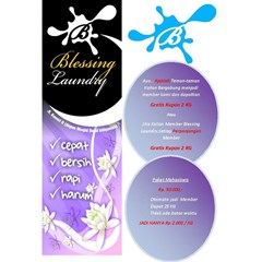 profesional laundry service