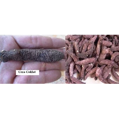 cera coklat