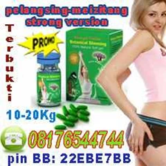 pelangsing meizitang strong new version