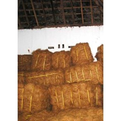coco fiber