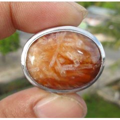 batu fosil bambu