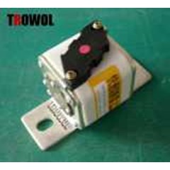 semiconductor fuse trowol