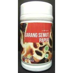 kapsul sarang semut