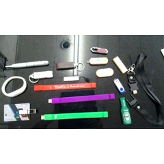 usb/ flashdisk
