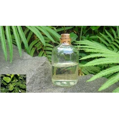 minyak daun jeruk purut/ kaffir lime oil