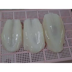 cumi sotong kupas ( calamary)