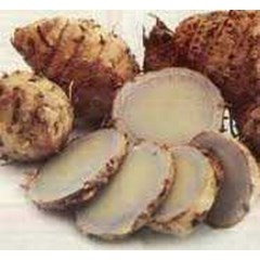 temu hitam ~ curcuma aeruginosa roxb.~ temu erang, temu lotong ~ koneng hideung ~ temo erang ~ temu item * * sms= + 62858-763-89979 * * sms= + 6281-32622-0589 * * sms= + 6281-901-389-117 * * email= nurida479@ yahoo.com