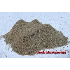 pucuk tebu cane top sugarcane