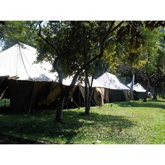 tenda peleton