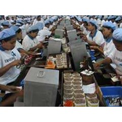 operator produksi/ karyawan pabrik/ karyawan biasa