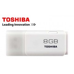 flashdisk toshiba 8gb ( komputer bintaro, pondok indah, rempoa, ciputat, lebak bulus, pondok pinang)