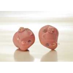 hi-e1 standard size ( in-the-ear )
