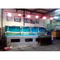aquarium resto dermaga 2