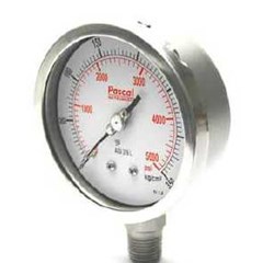 pascal process pressure gauge – series pg