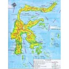 .......suara panggil walet sulawesi 01 .... ....