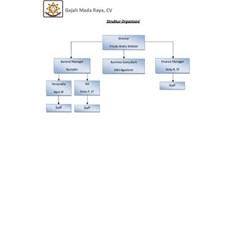 struktur organisasi