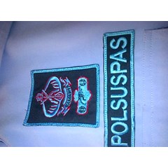 logo polsuspas