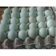 telur bebek mentah berkualitas