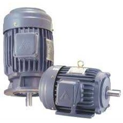 induction motor: teco, liming, omega motori, weg, sew, western, bongfiglioli, baldor, mez.