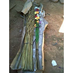 bunga kering