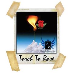torch to rose