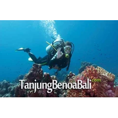 scuba diving