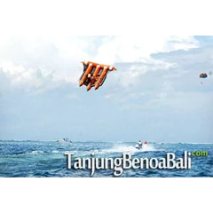 flying fish