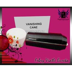 vanishing cane