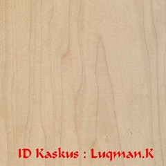 kayu hardmaple