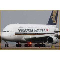 jasa import barang dari singapore
