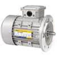 elektro motor flange mounted