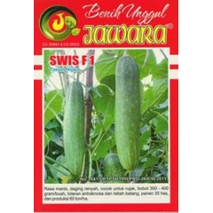 benih mentimun hijau