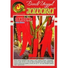 benih cabe besar